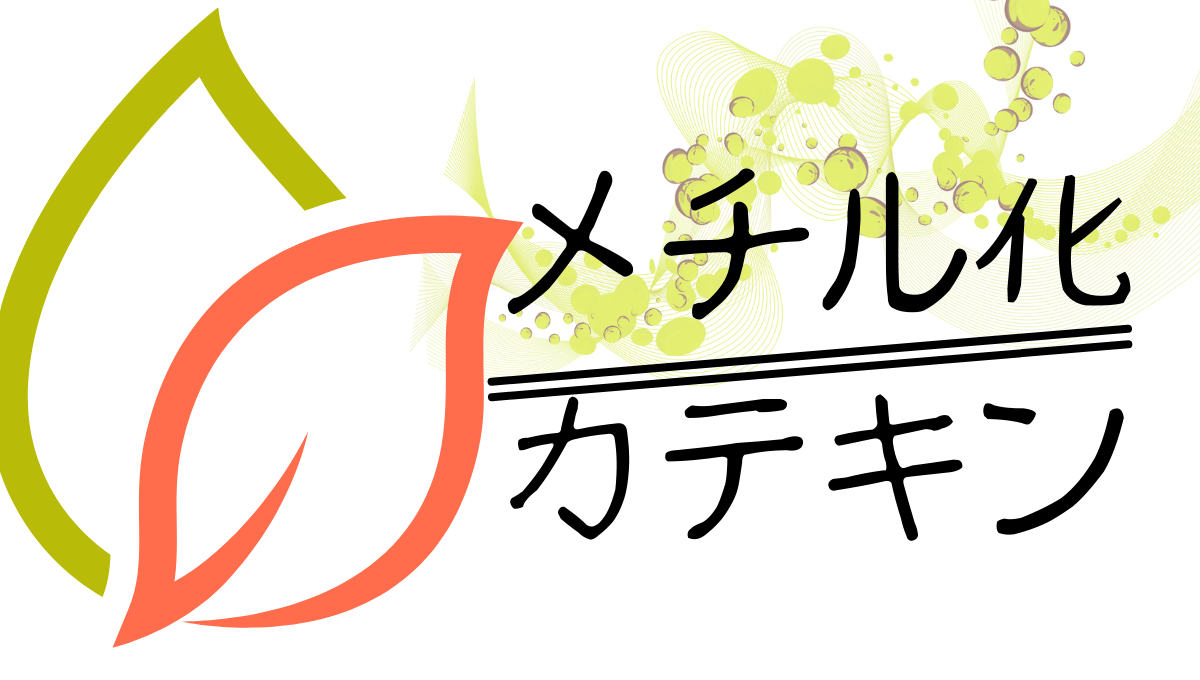 メチル化カテキンの記事用アイキャッチ