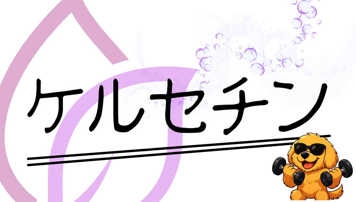 ケルセチン記事のアイキャッチ