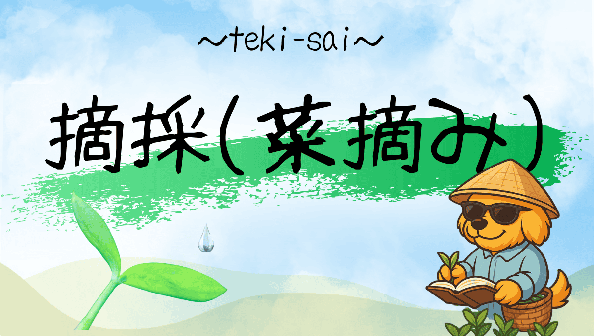 摘採記事のアイキャッチ